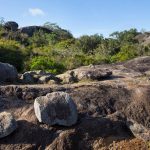 Yala National Park: Where Nature’s Majesty and Safari Thrills Collide