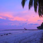 18 Best Party Places in Havelock Island
