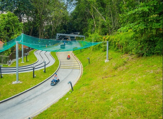 things-to-do-at-skyline-luge