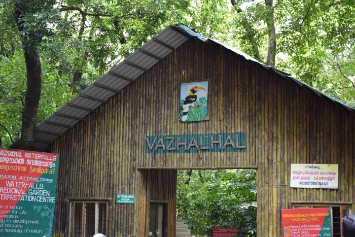 Tourist activities near Athirappilly and Vazhachal Waterfalls