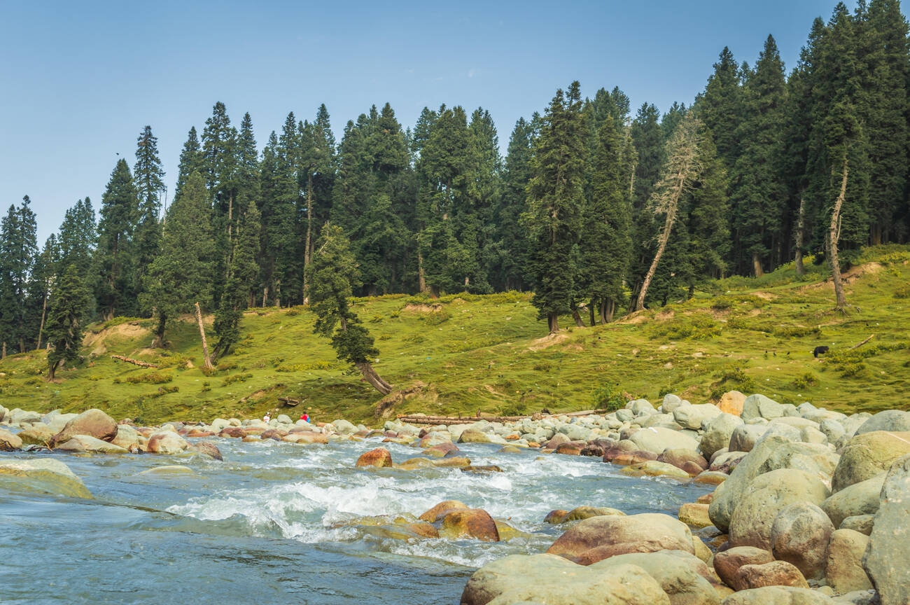 Where the River Turns Milky: The Myth and the Mystery of Doodhpathri in Kashmir