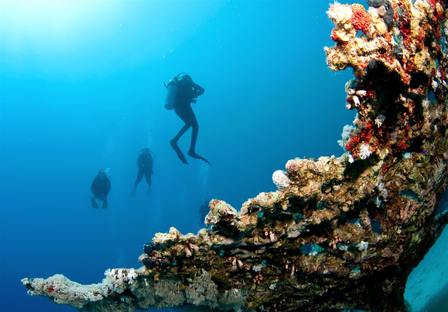 Explore top spots for scuba diving in Little Andaman Island, courses ...