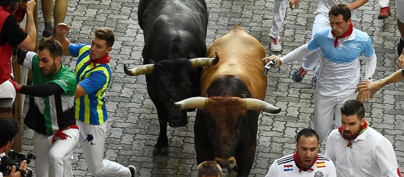 the-angry-running-bulls-in-spain
