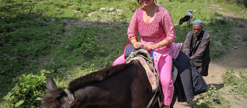 take-a-pony-ride-in-pahalgam-in-kashmir