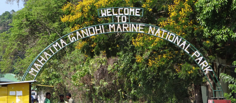 flora-and-fauna-at-mahatma-gandhi-marine-national-park