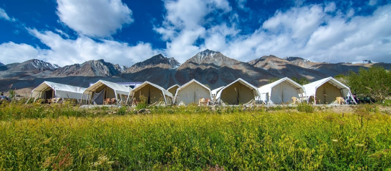 wonderland-camping-in-ladakh
