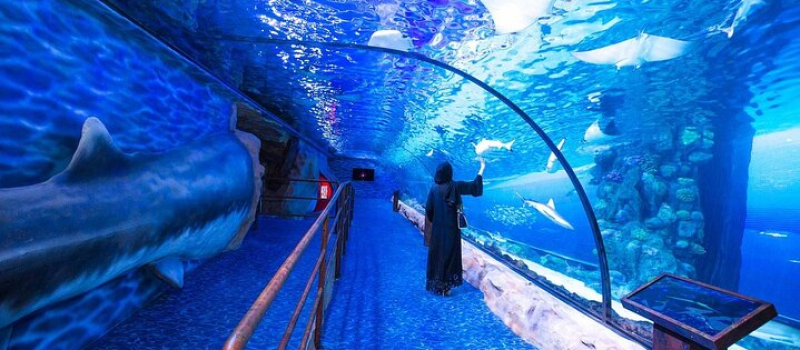 dubai-aquarium-and-underwater-zoo