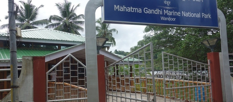 things-to-do-in-mahatma-gandhi-marine-national-park