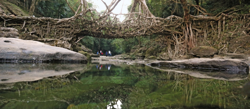 umshiang-root-bridge-the double-decker-root-bridge-in-cherrapunji