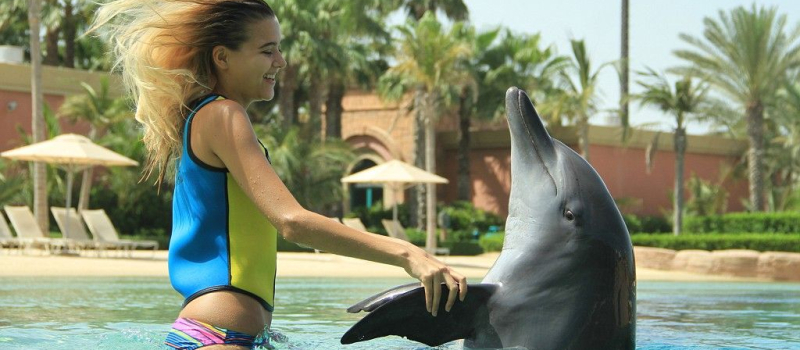 swimming-with-dolphins-water-sports-in-dubai