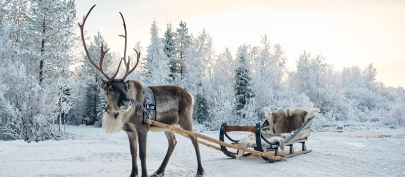reindeer-sled-lapland-finland