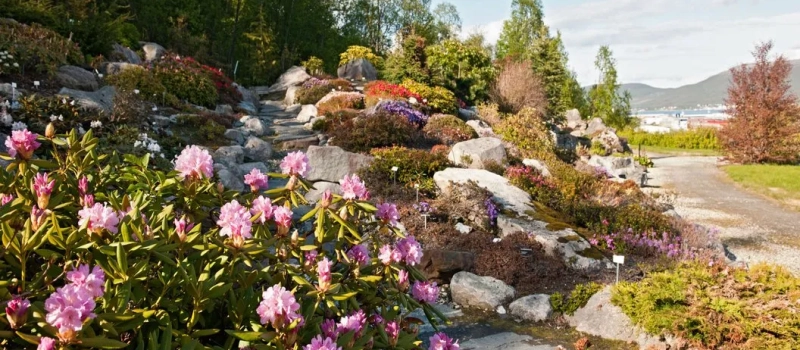 alpine botanical garden in tawang