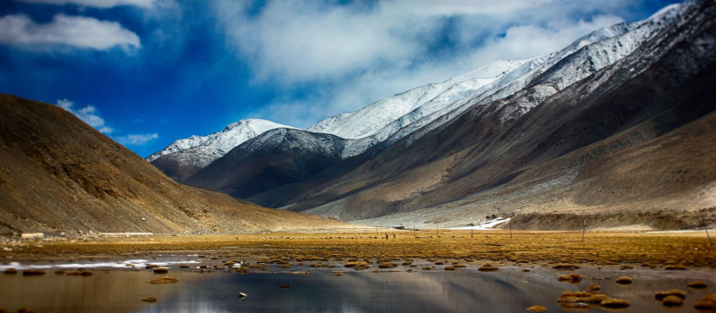 best-things-to-do-in-ladakh