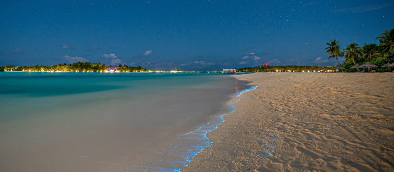 best-glowing-beaches-in-vaadhoo-island-maldives