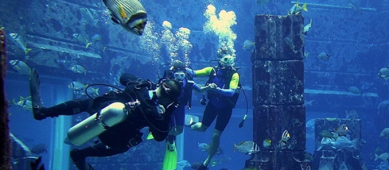 dive-explorer-in-the-lost-chamber-aquarium