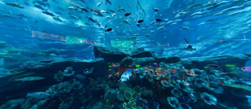 dubai-aquarium-underwater-zoo
