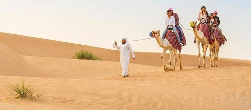 dubai-camel-ride