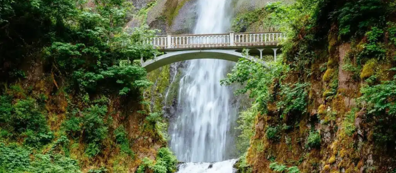 dudhsagar-waterfalls