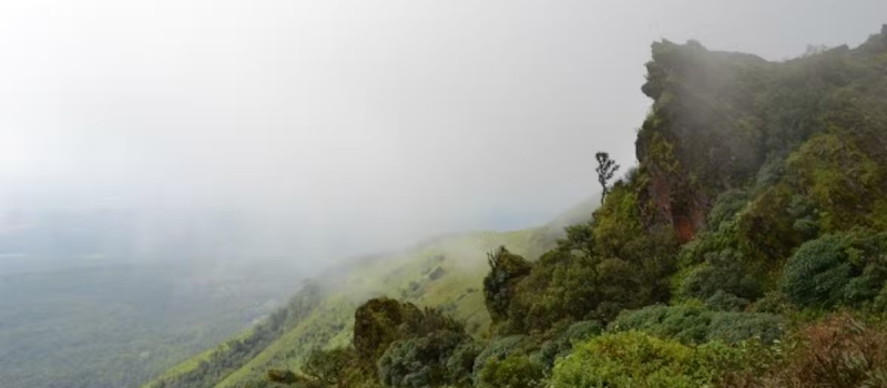 mullayanagiri-trek-monsoon-treks-in-india