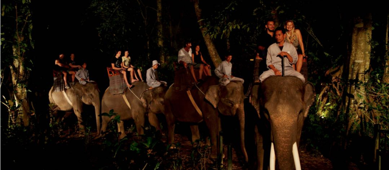 night-safari-in-bali