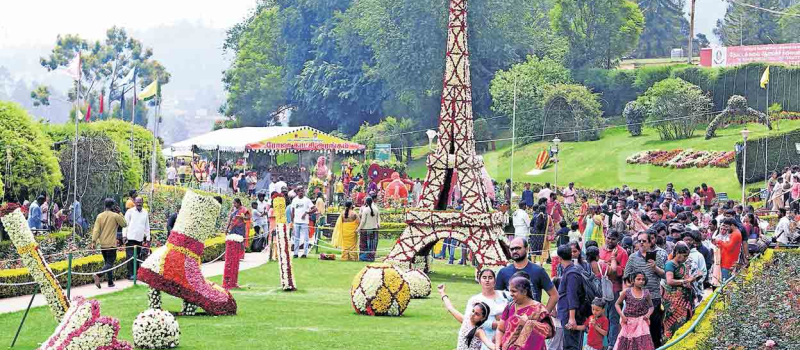 events-and-programs-in-ooty-flower-festival-2024