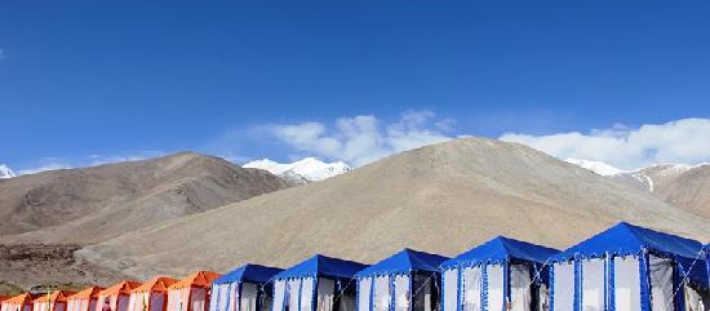 camp-whispering-in-ladakh
