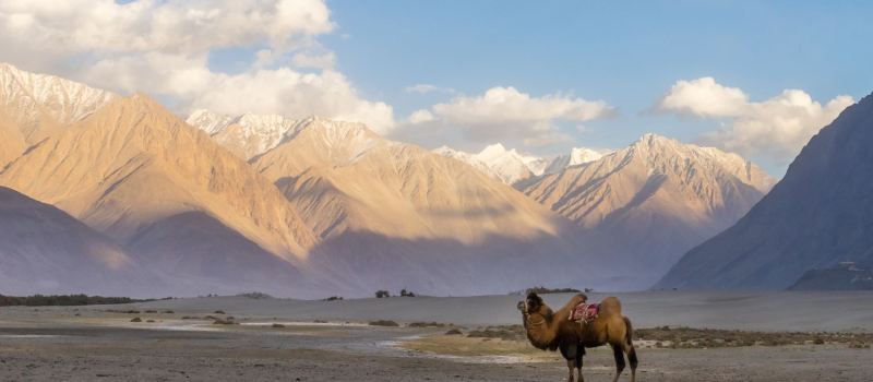nubra-valley-offbeat-place-in-india