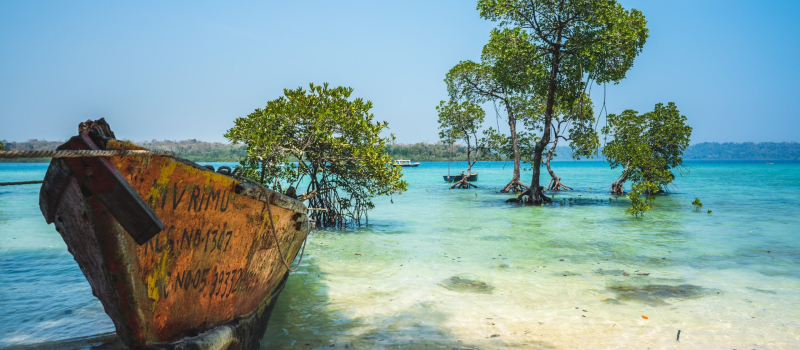 neil-island-places-to-visit-in-andaman