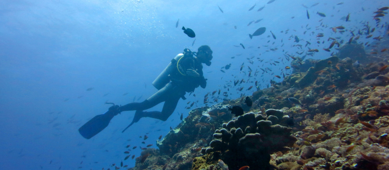 secret-bay-scuba-diving-places-in-bali