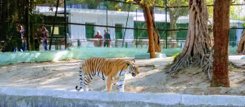 kamla-nehru-zoo