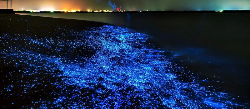 location-of-glowing-beaches-island-in-maldives