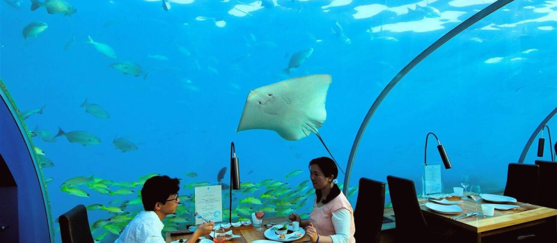 lunch-at-ithaa-restaurant-in-maldives