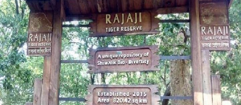 rajaji-national-park