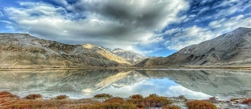 changthang-wildlife-sanctuary-ladakh