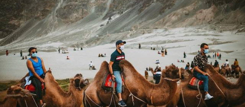 camel-safari-in-rupshu-valley