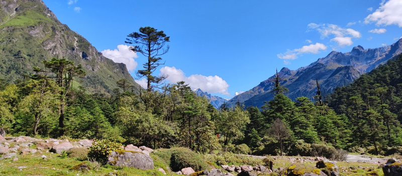 yumthang-valley-in-sikkim