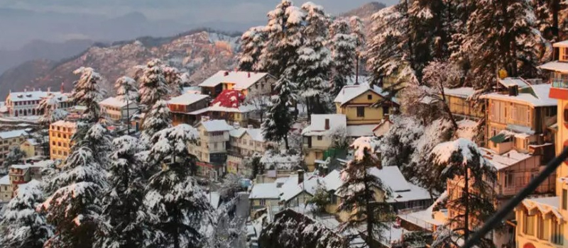 christmas-celebration-in-shimla