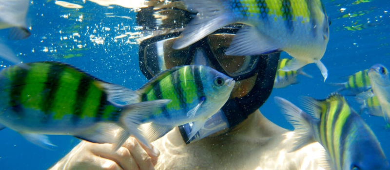 snorkelling-in-andaman