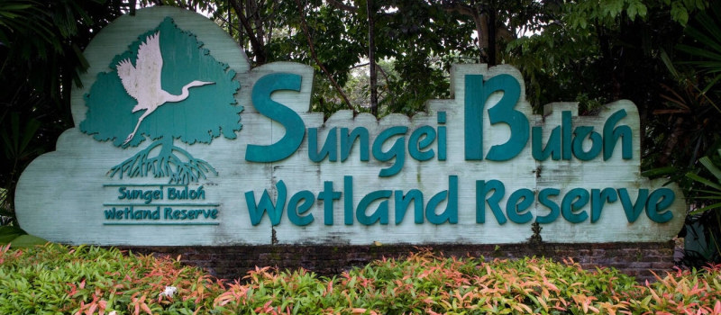 sungei-buloh-wetland-reserve