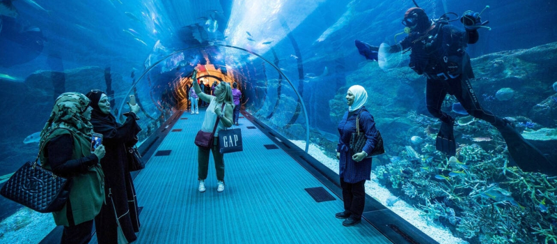 the-lost-chambers-aquarium
