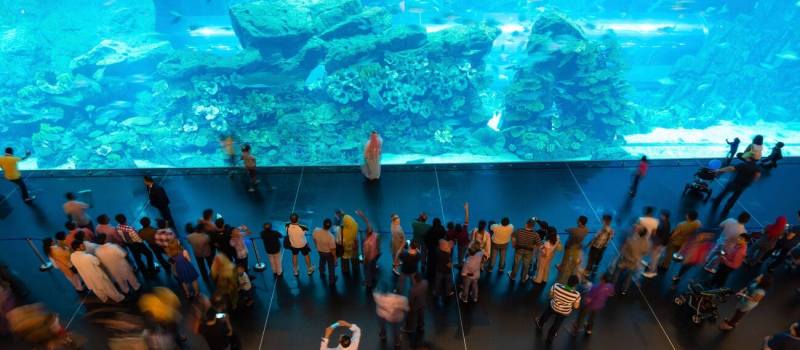 ticket-pricing-at-the-lost-chamber-aquarium