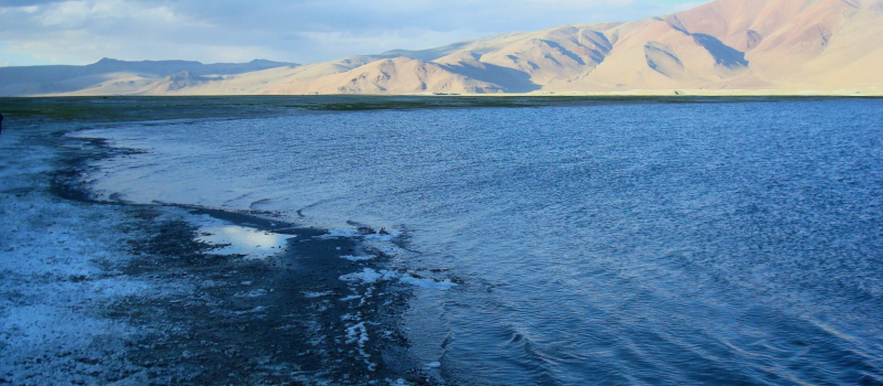 tsokar-lake-ladakh