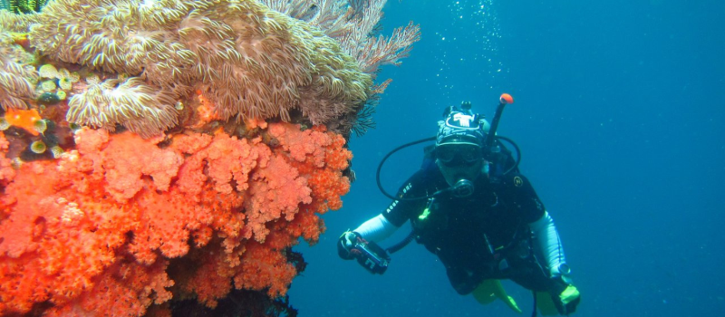 gili-selang-scuba-diving-places-in-bali