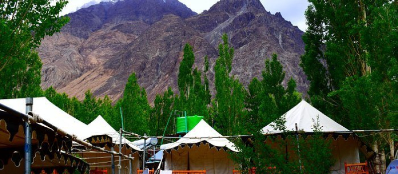 nubra-ethnic-camping-in-ladakh