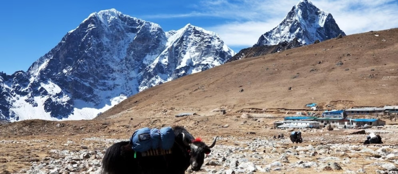 travelling-to-ladakh